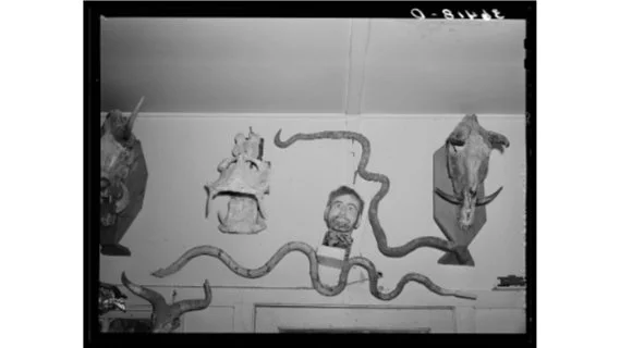 Experimental Seeing: Russell Lee’s Pedagogical Legacy