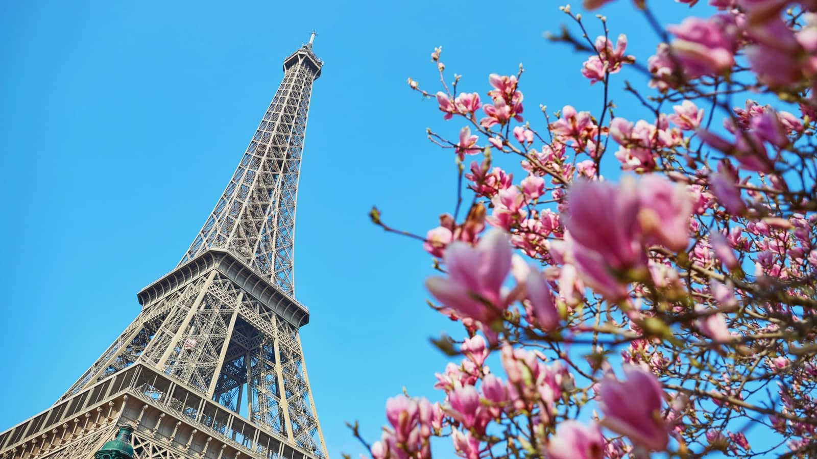 Le French Meetup avec Angélique - 3 $