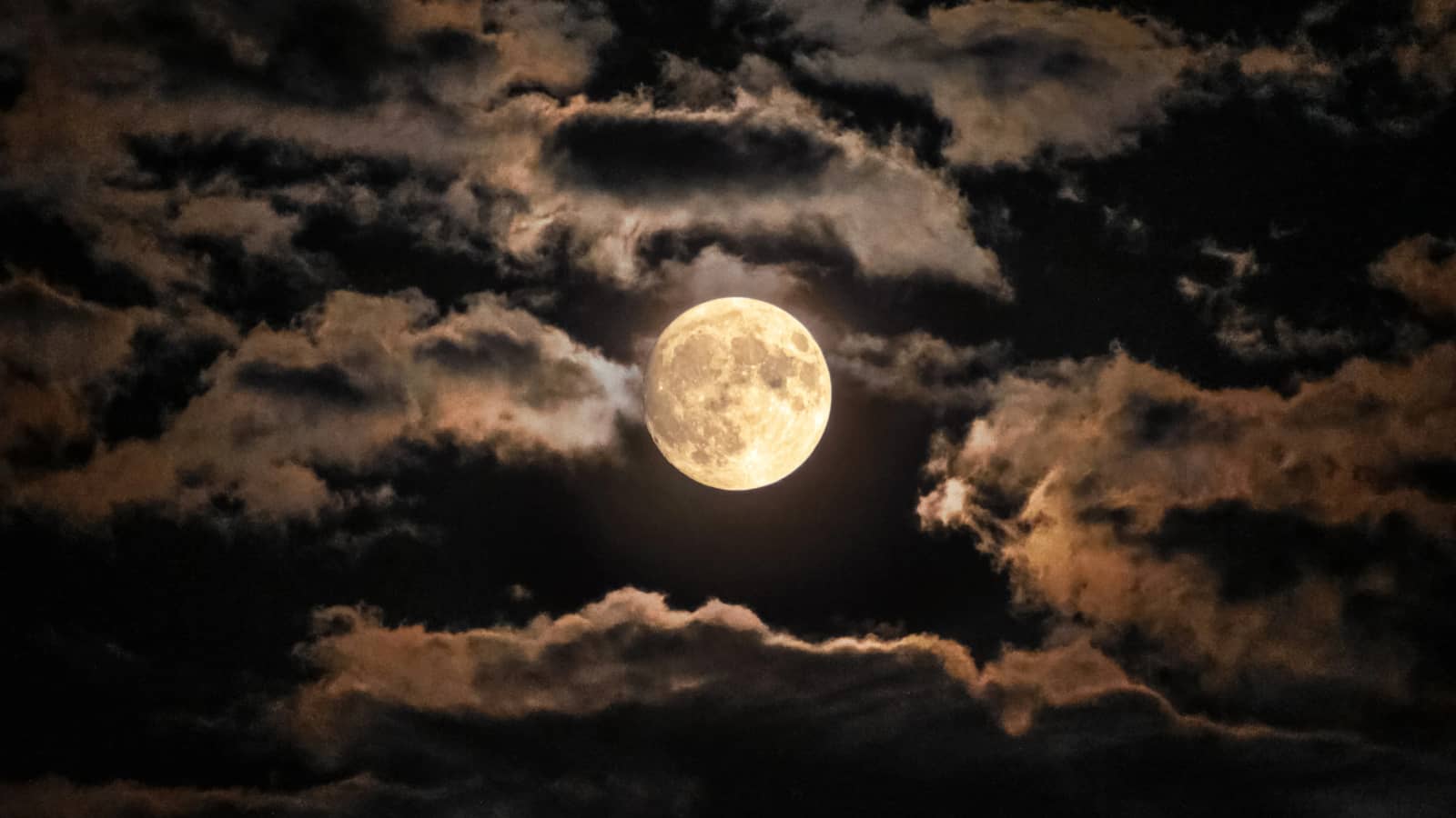 Thirteen Moons of Witchery: Oracle of the Gods