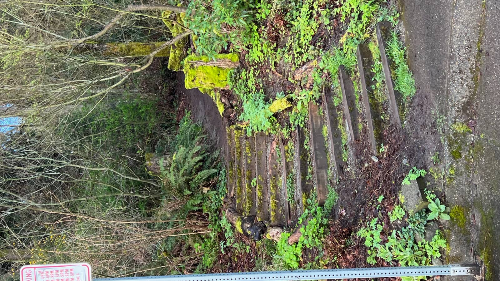 Interlaken Stair Walk - Day Walker