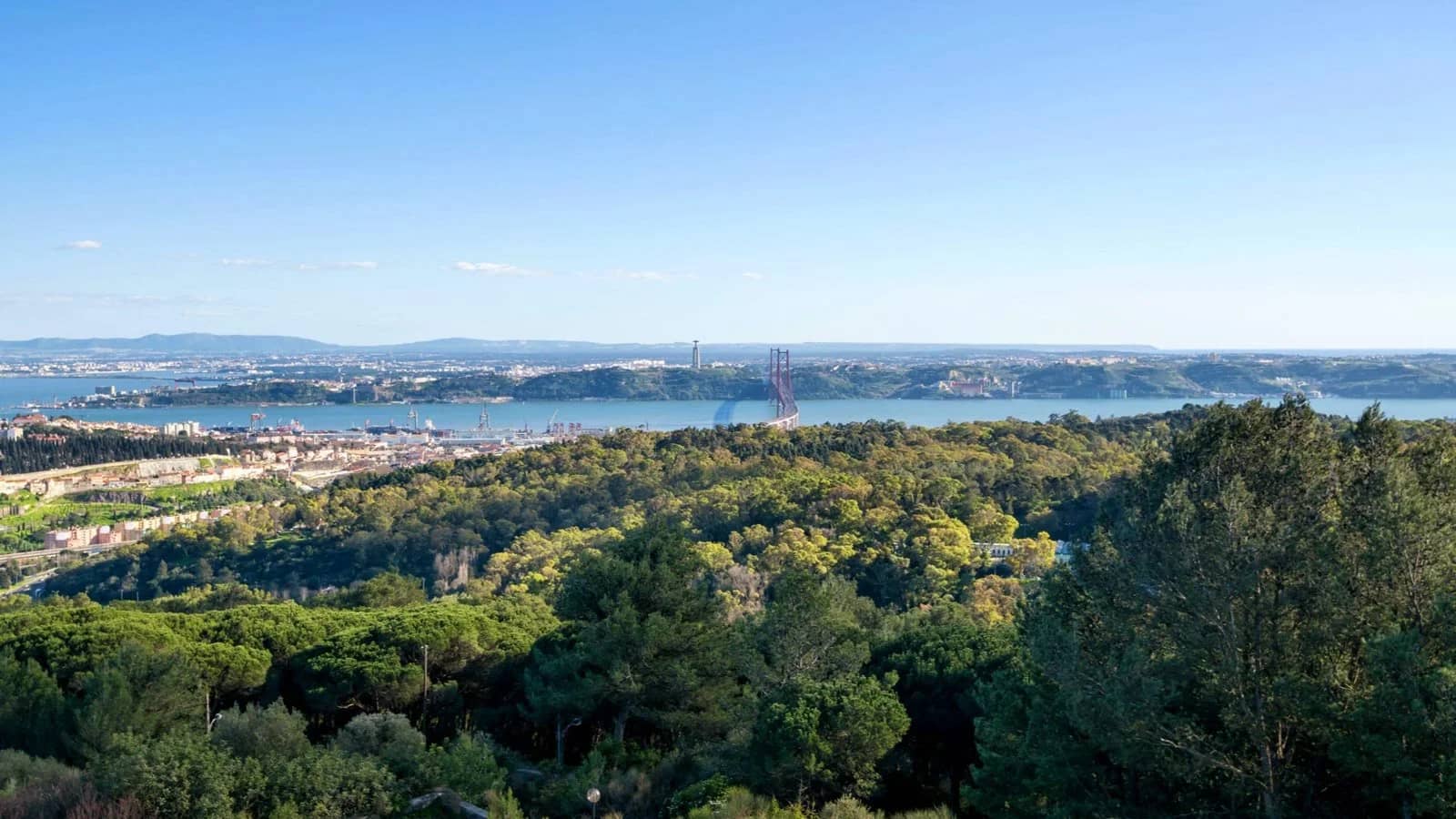 🥾 Early Bird Hikers: Monsanto Forest Park (WOMEN ONLY)