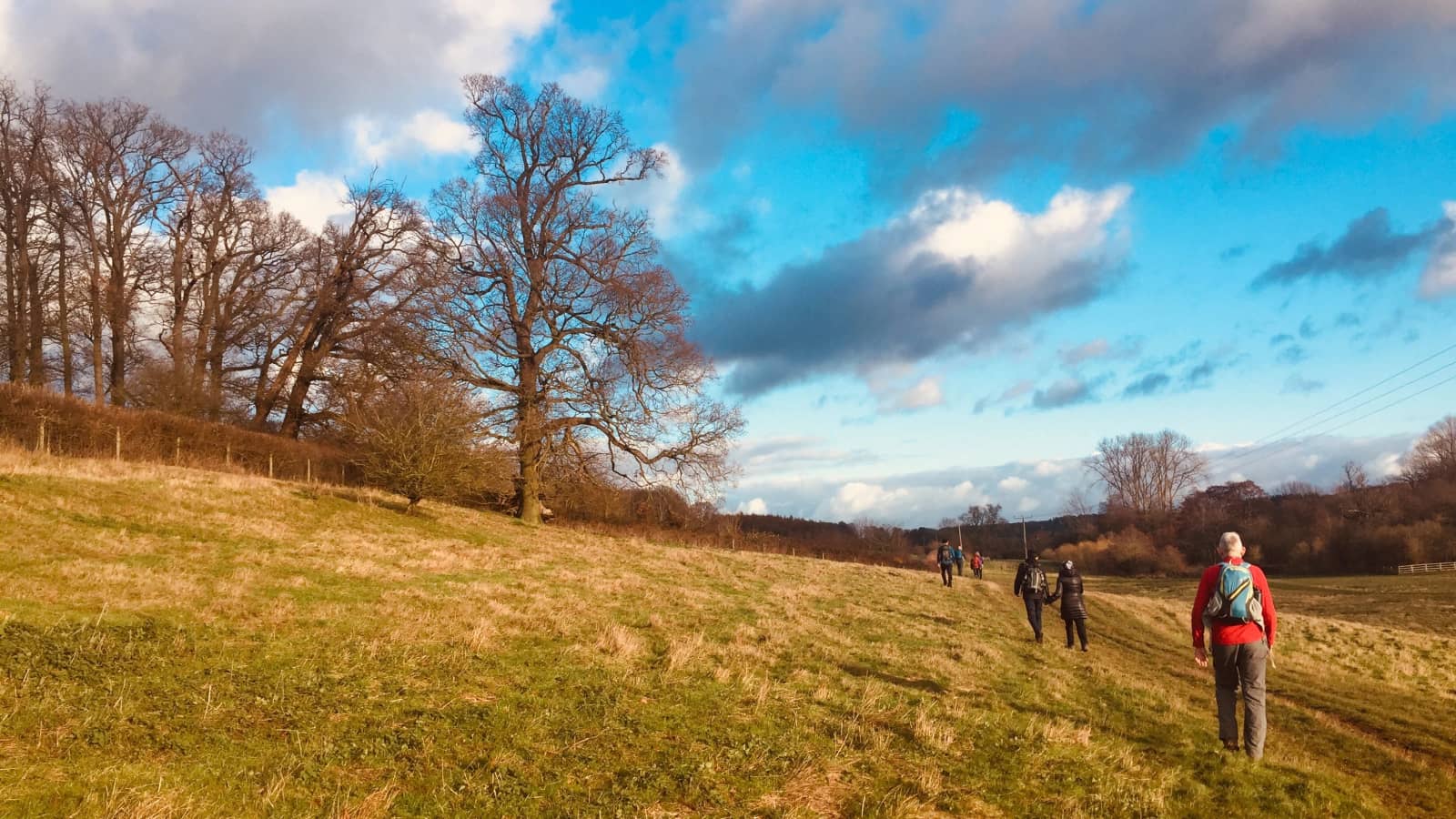 Explore the Stunning Kent Countryside: Wye Circular Hike