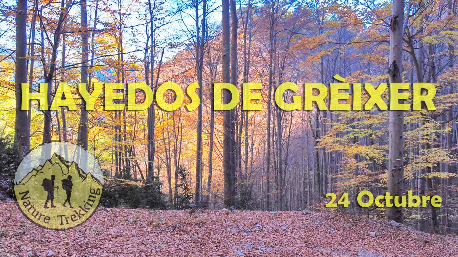 🏔️Hayedos de Grèixer (Cadí- Moixeró) 🌿​🌲​​