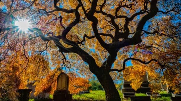 Halloween Hike in Prospect Park and Green-Wood Cemetery