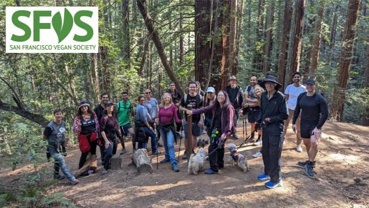 SFVS Monthly Hike