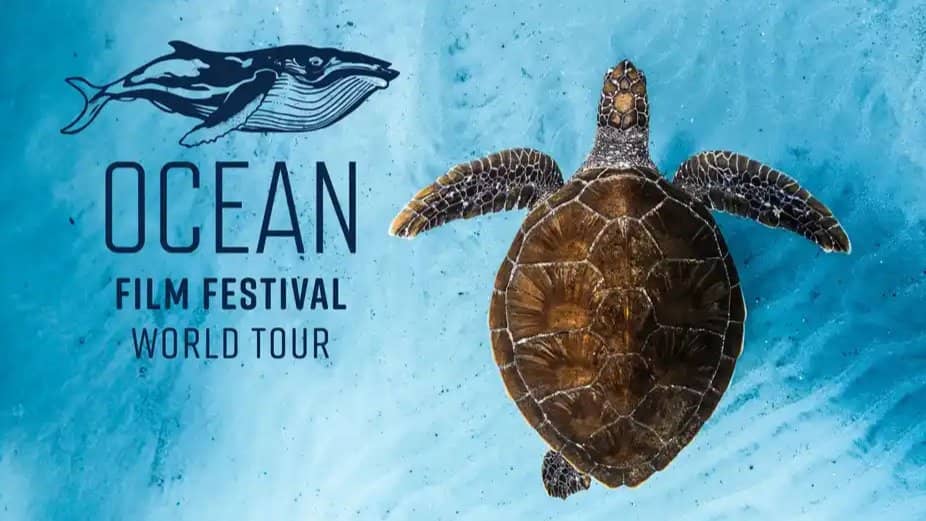 Ocean Film Fest World Tour 2026 - Short Docs