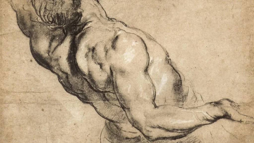 Quentin: Male Figure Drawing