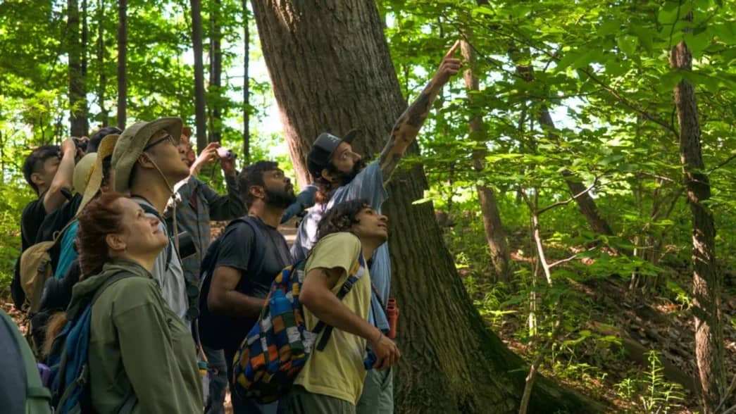 Fall Migration Birding in Toronto