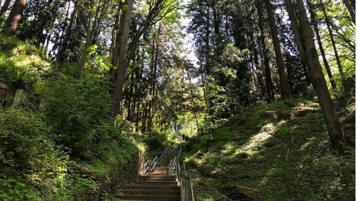 Golden Gardens staircase, marine walk, and lunch