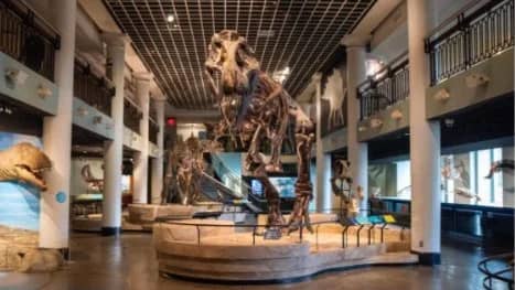 Academy of Natural Sciences (Last Chance!)