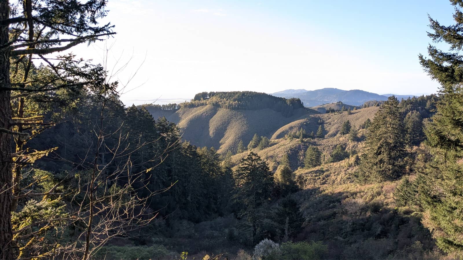 Easy Evening Sunset-Twin Peaks hike (4mi/700' elev. gain)