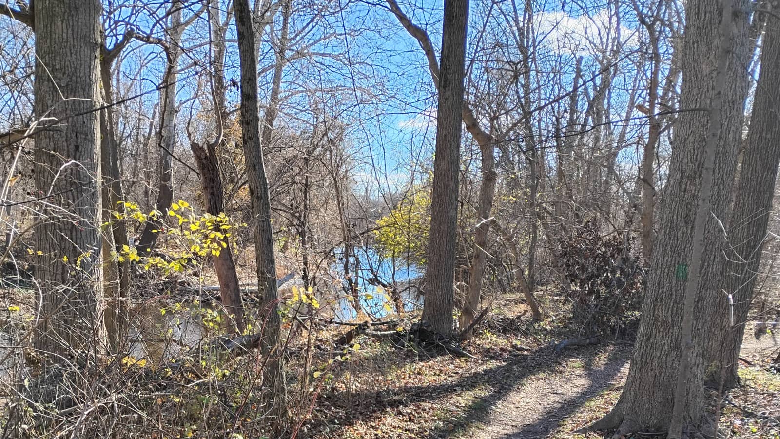 Hike the Green Ribbon Trail from Fort Washington State Park (6 miles)