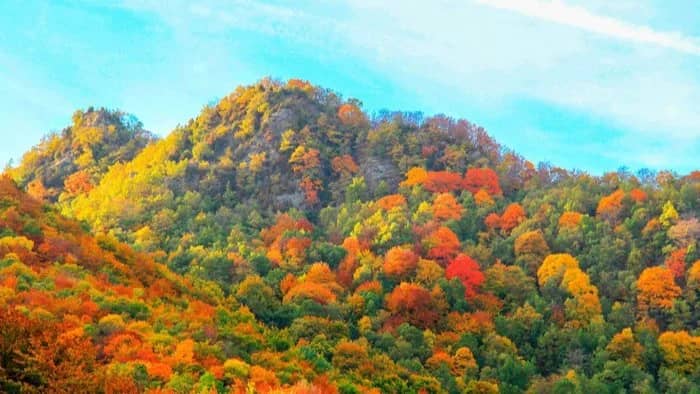 🍂La tardor a la màgica fageda de la Grevolosa 🍂