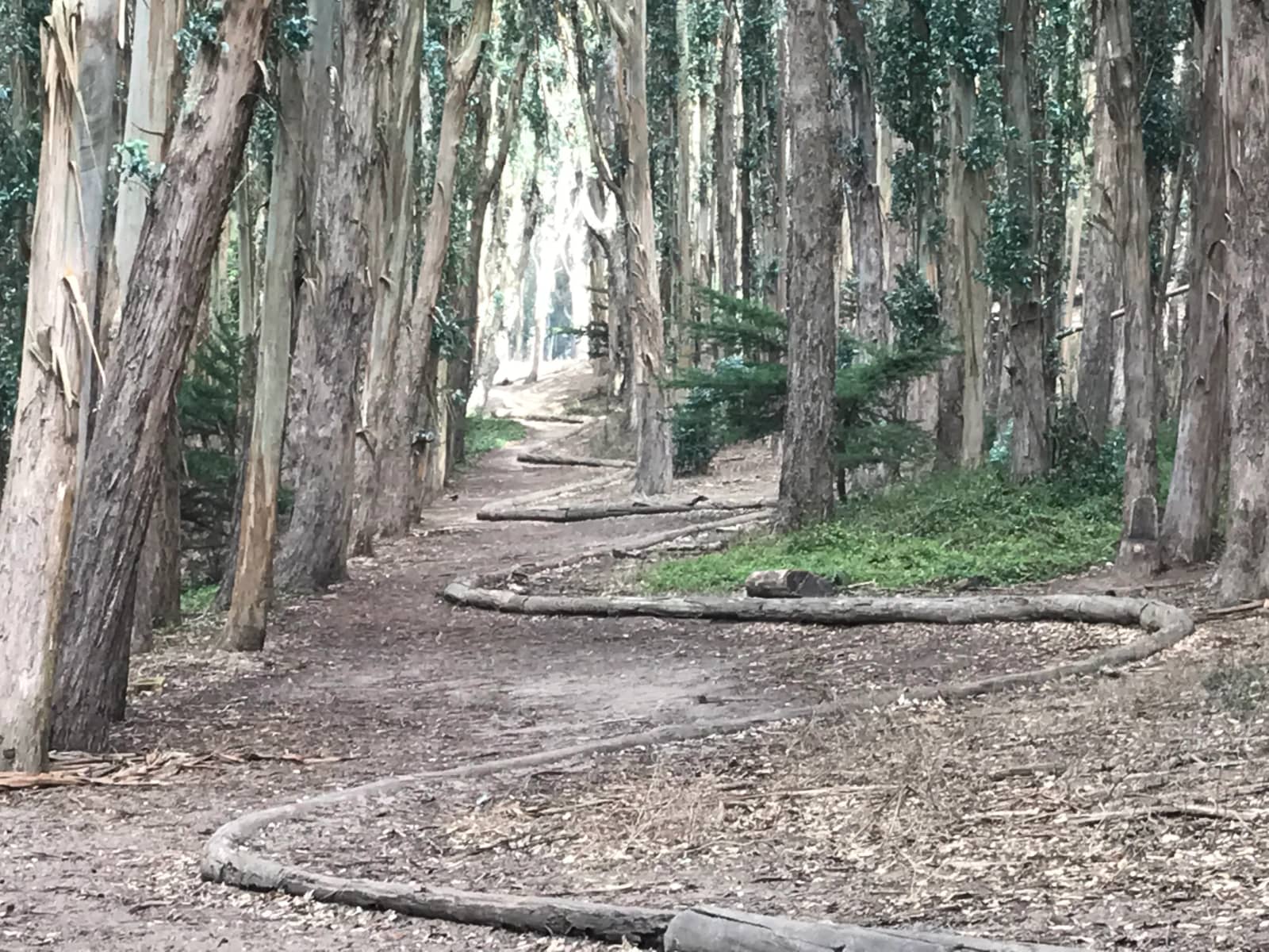 Presidio San Francisco