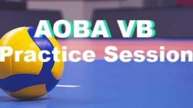 8/6 [6pm-9pm] Practice session Volleyball game @Minato-ward