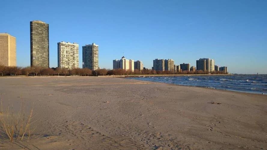 COAST Beach Volleyball Social at Foster Beach