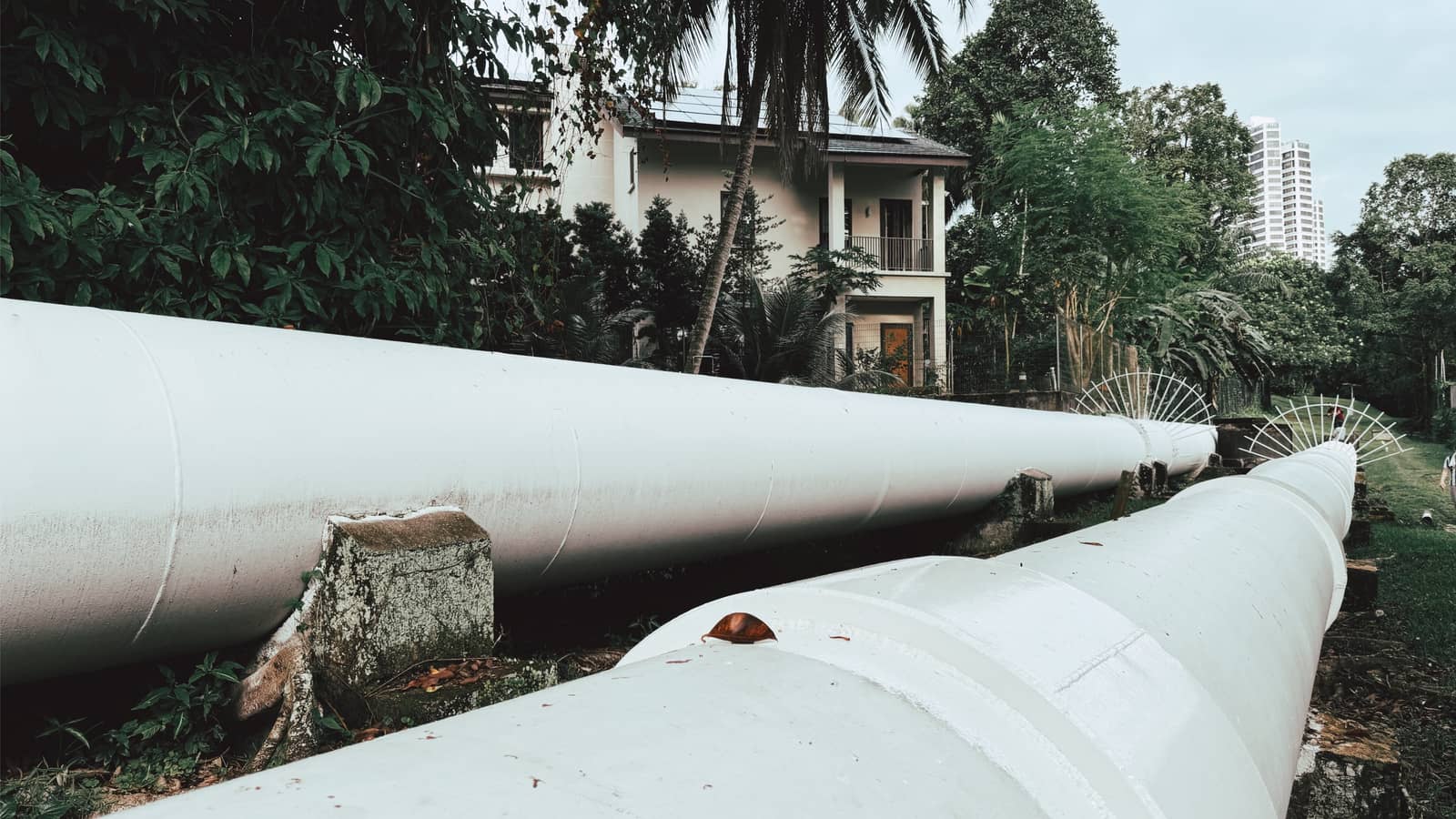 Pipeline Trek: Farrer to Beauty World