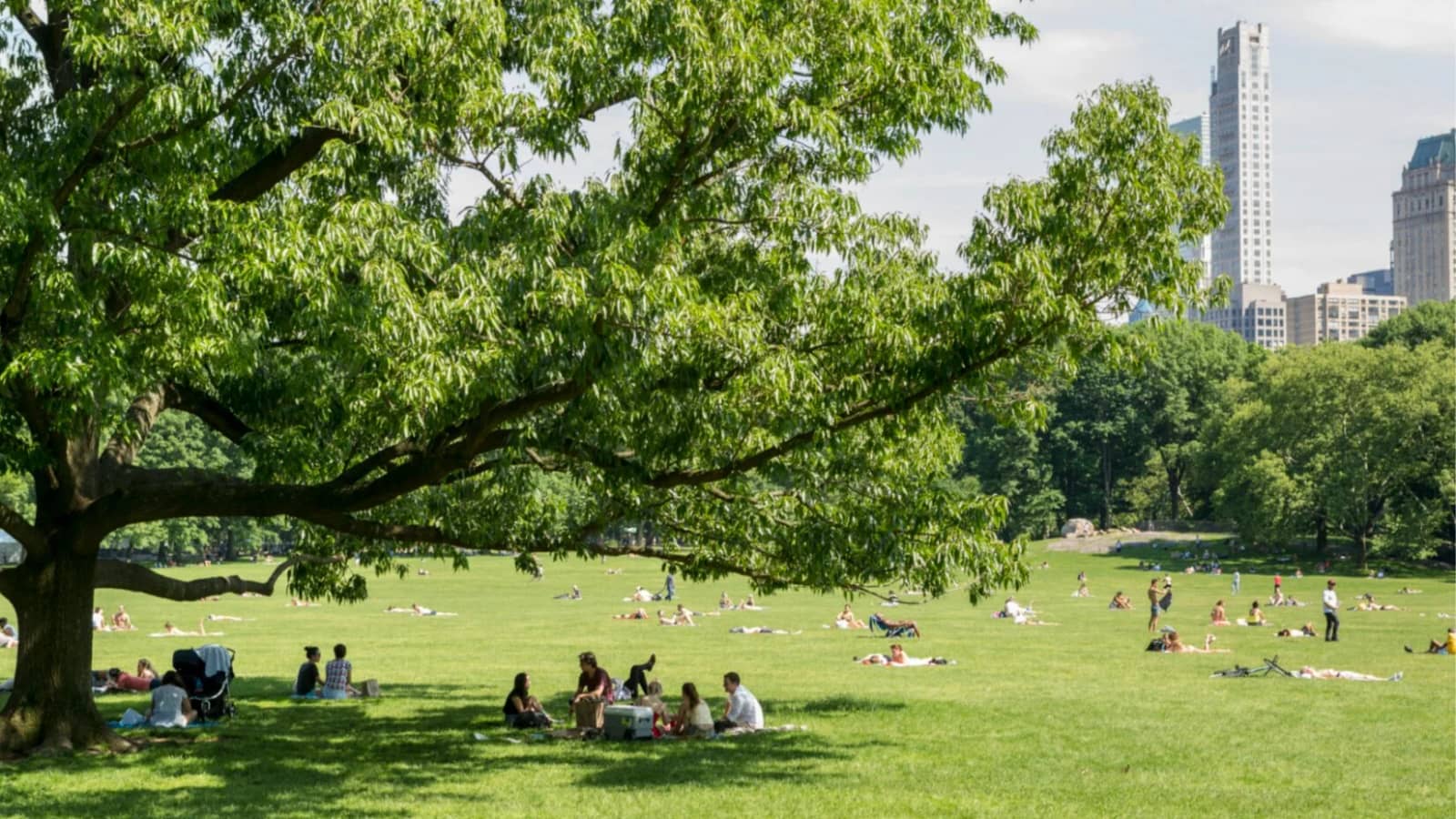 The Writing Group – Central Park Session