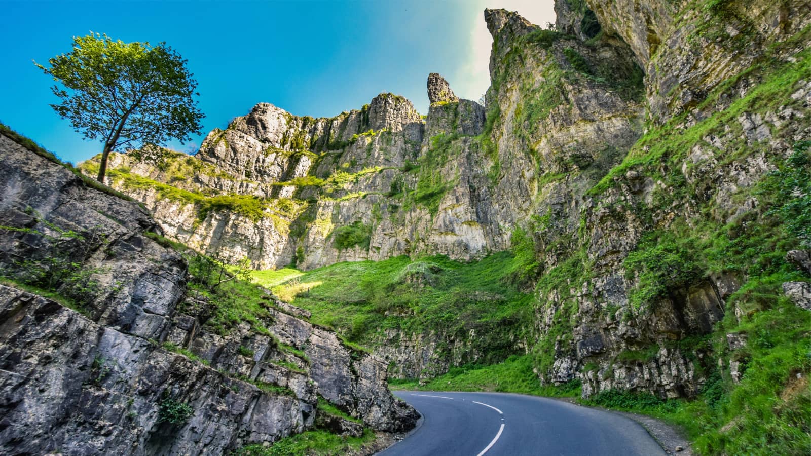 🧀 Cheddar Gorge and Cheese Day Trip