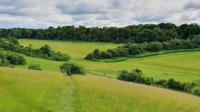 🌳 FREE BANK HOLIDAY HIKE – 🌿 London’s Farthing Downs & Happy Valley Loop
