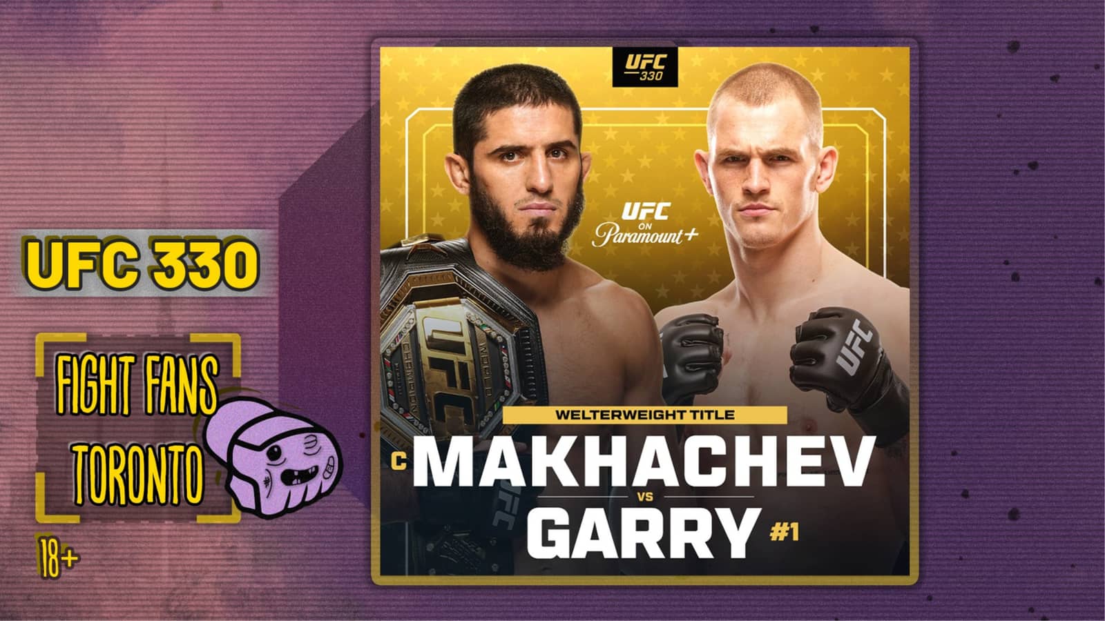UFC 330