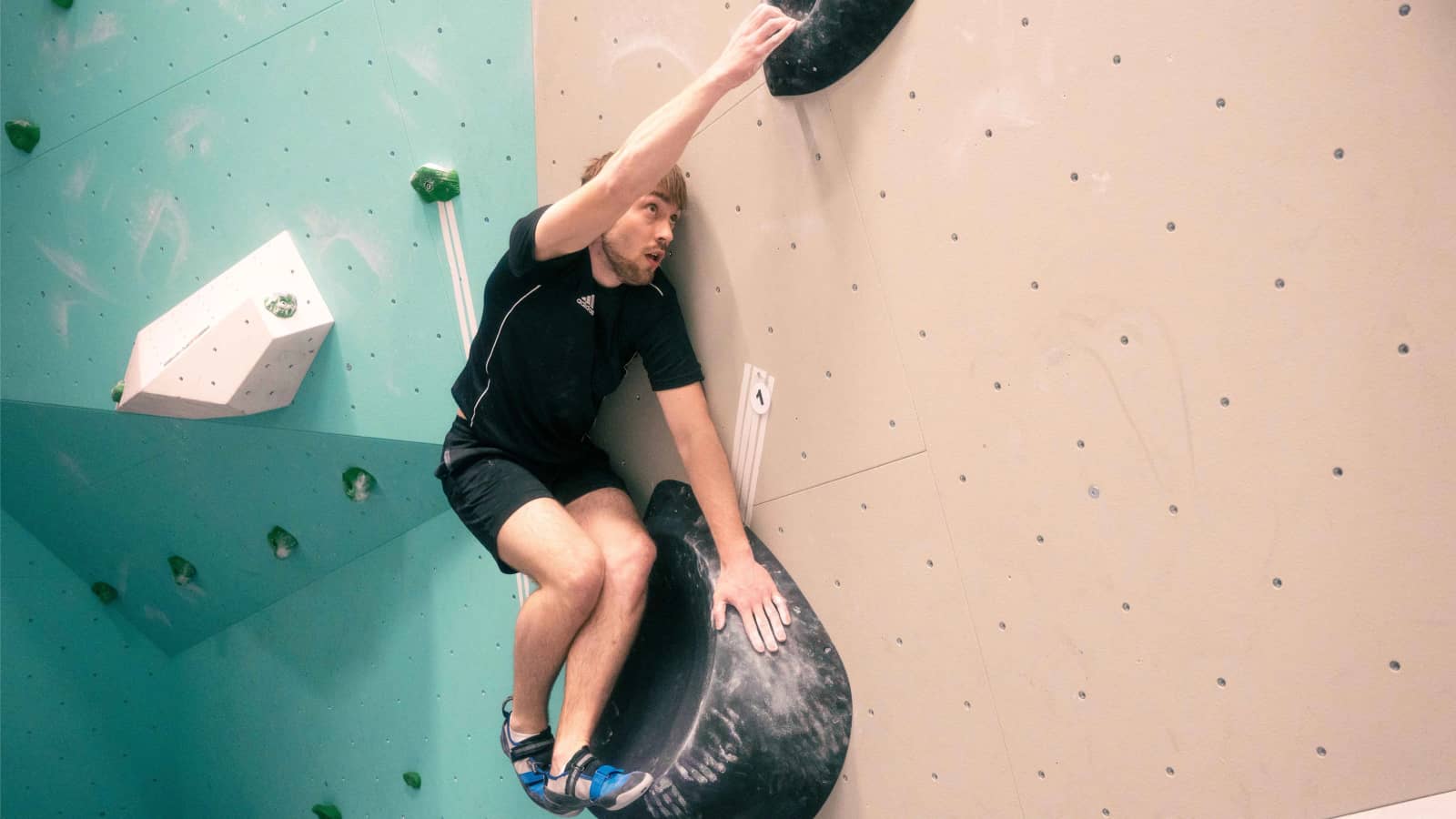 Weekly Climbing Meetup (All Levels Welcome)