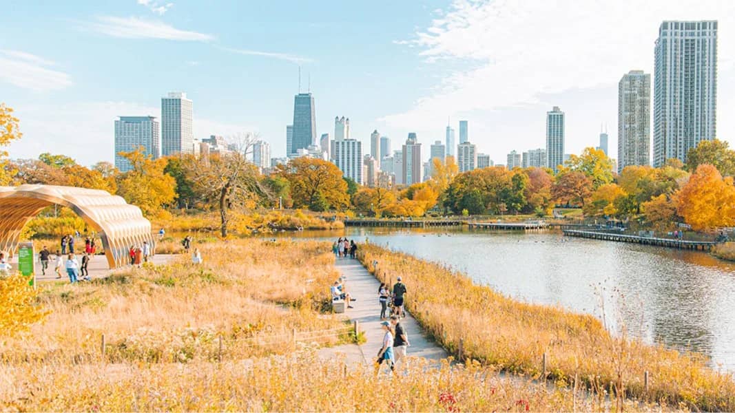 Visit to Lincoln Park Fall Fest