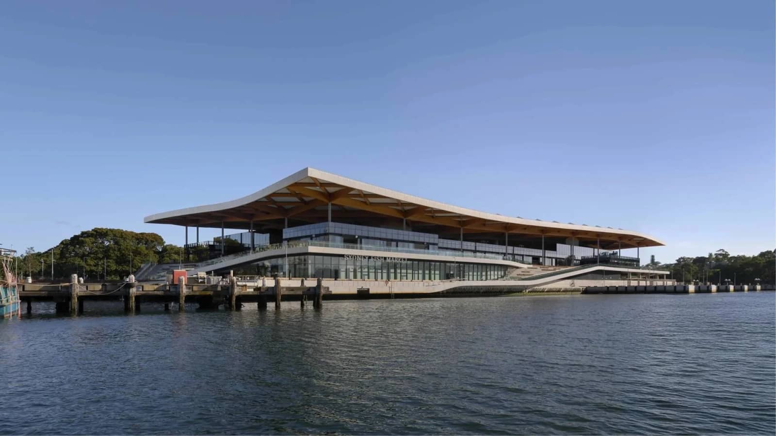 🐟🌊 Sydney Fish Market Walk & Dinner 🌅🍽️