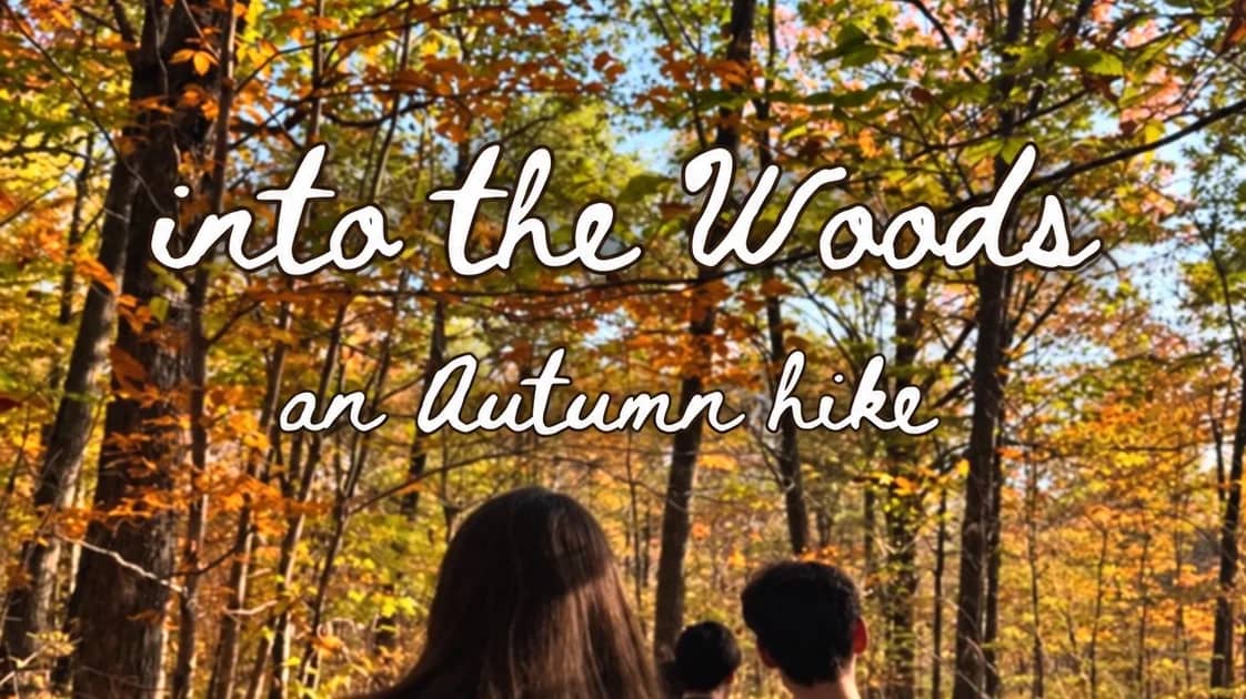 Into the Woods: an Autumn hike - Beelitz  🍁🥾☕️