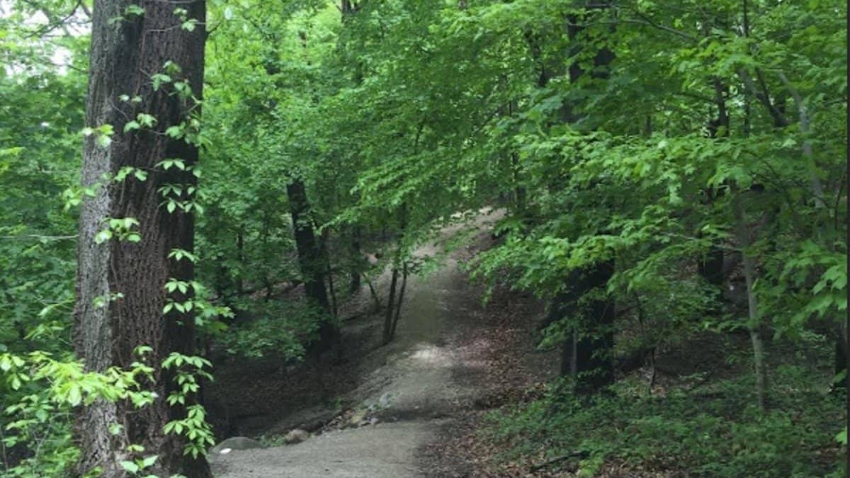 20s/30s Event: 5.25 -Mile Boxer's Trail Hike in Fairmount Park, Philly