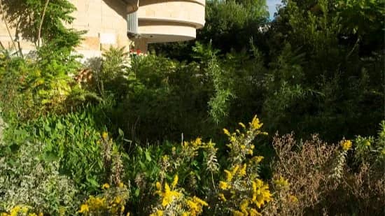 Gardens & Nature Art Exhibit