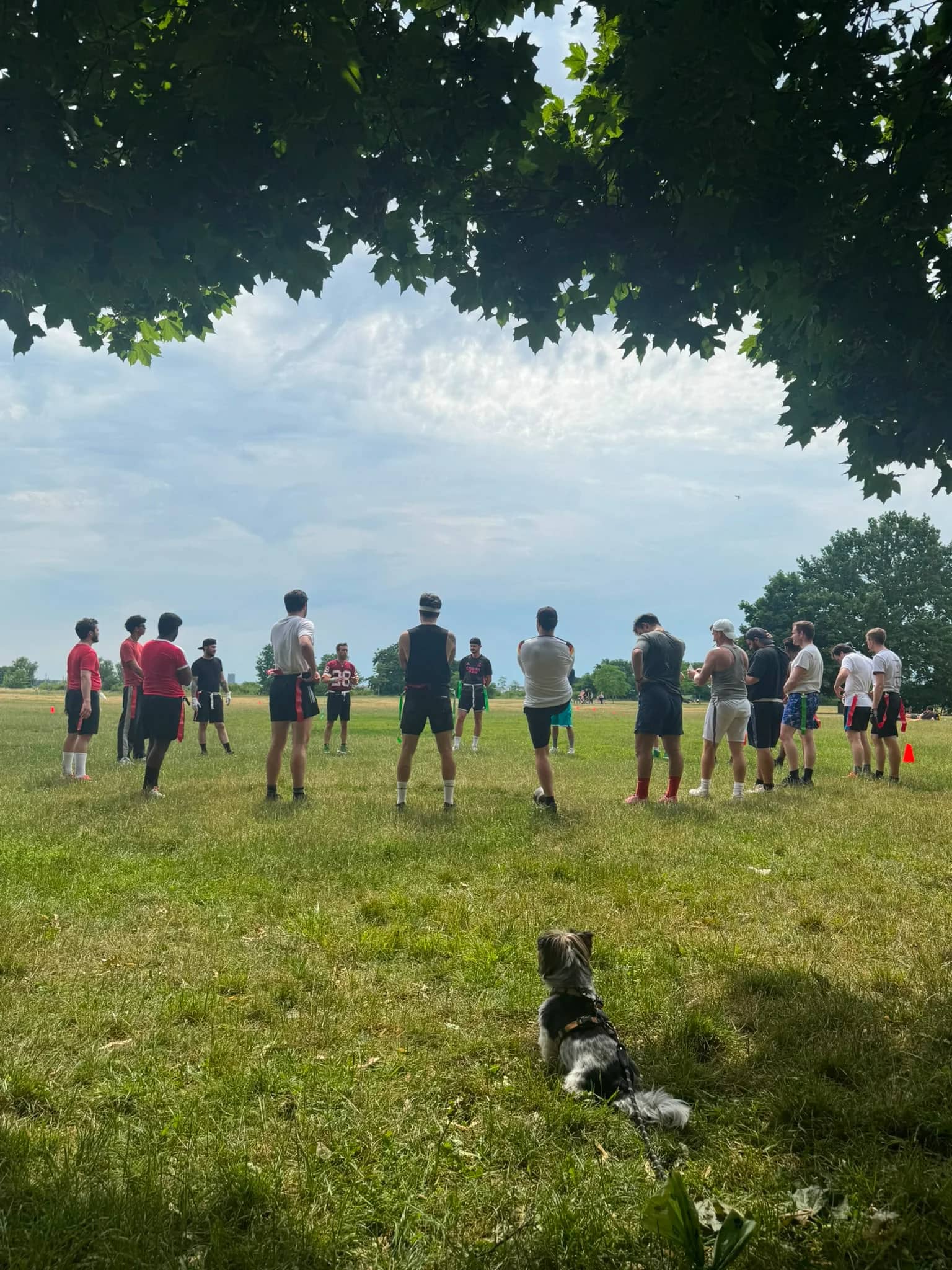 Flag Football Berlin ☀️🏈🏎🏁McLaren Bowl 🏁🏎🏈☀️  + Music&Drinks&Dancing