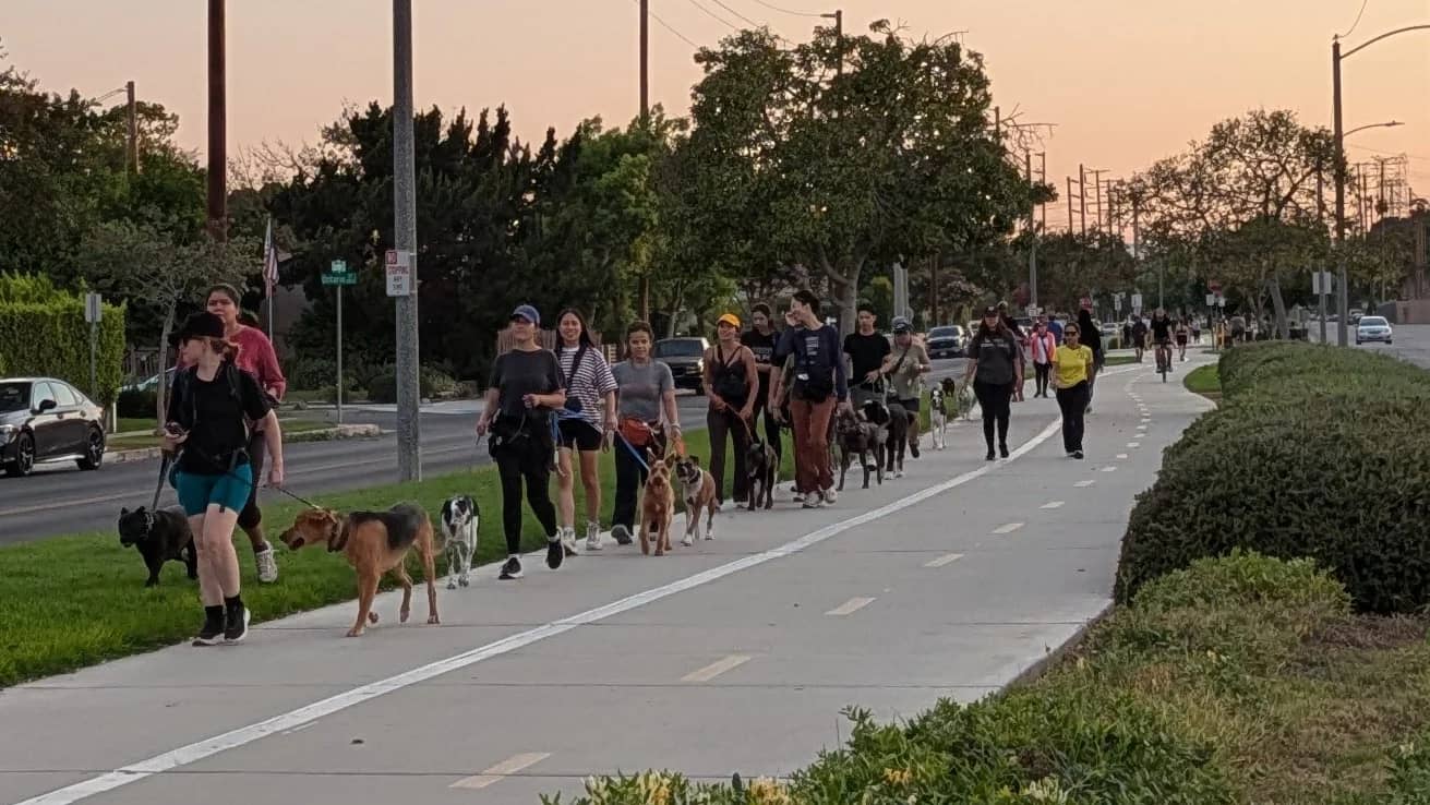 Burbank/Chandler Bike Path: Pack Walk