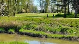 Bike Ride - Fraser Foreshore / Arbutus Ridge / Jericho Beach - 47141495