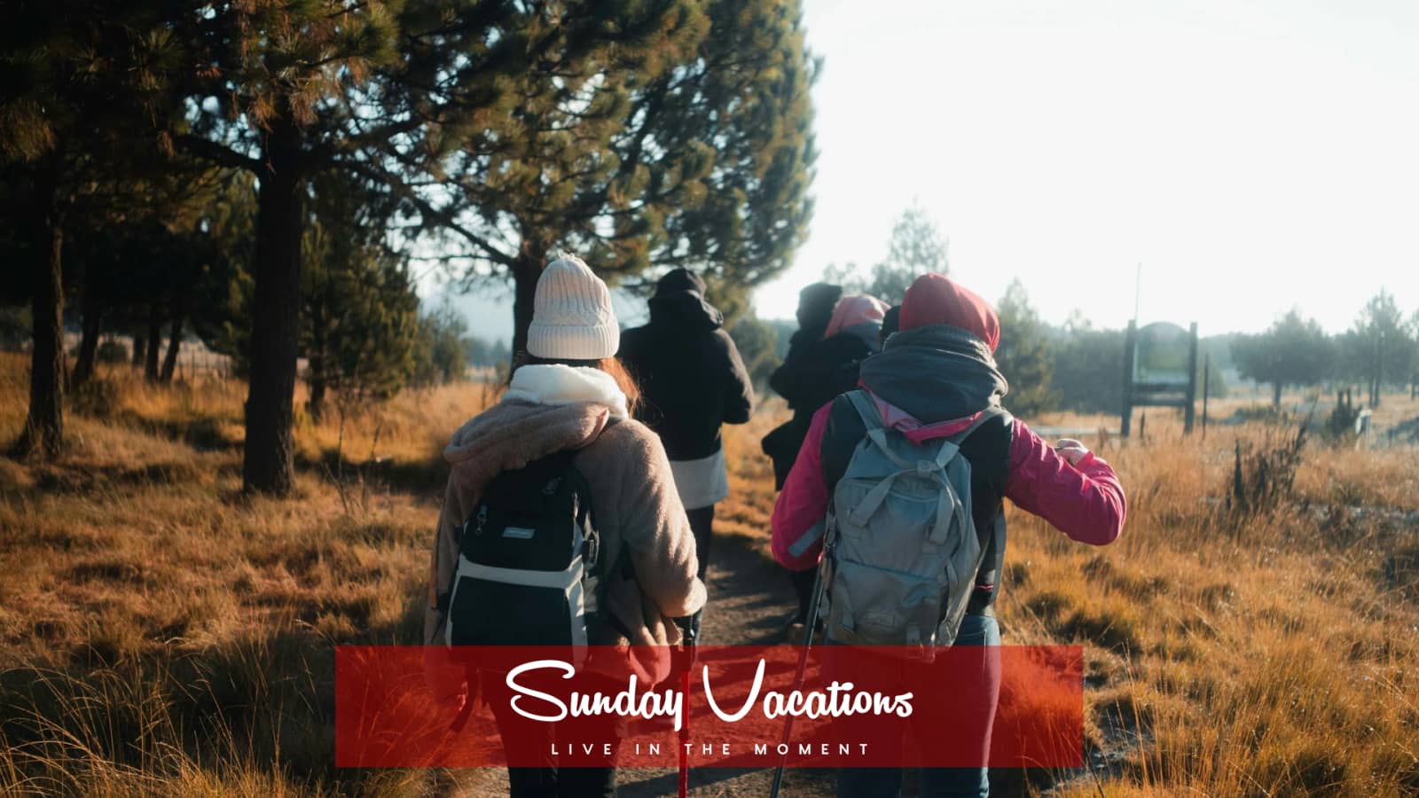 🌳 Sonian Forest Sunday Escape | 10 KM Social Hike from Auderghem to Groenendaal