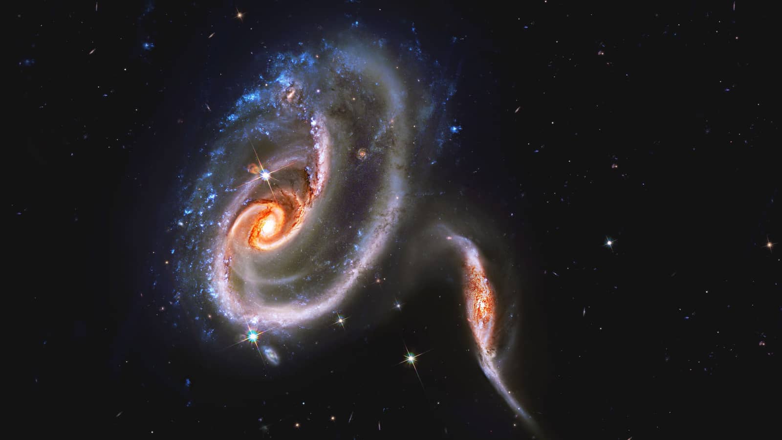 Discussing about cosmology, black holes, the big bang (in person & online)