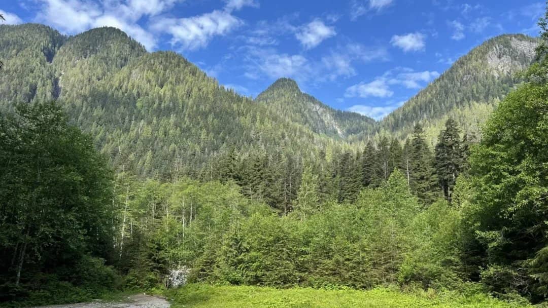 Lynn Loop and Cedar Mill Trail: Easy