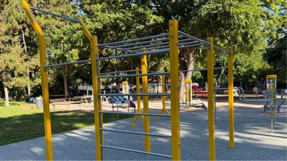 Outdoor Bodyweight Workout in Währinger Park