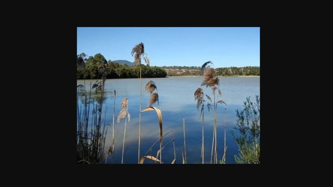 City to Lilydale Lake (103km, +893m)