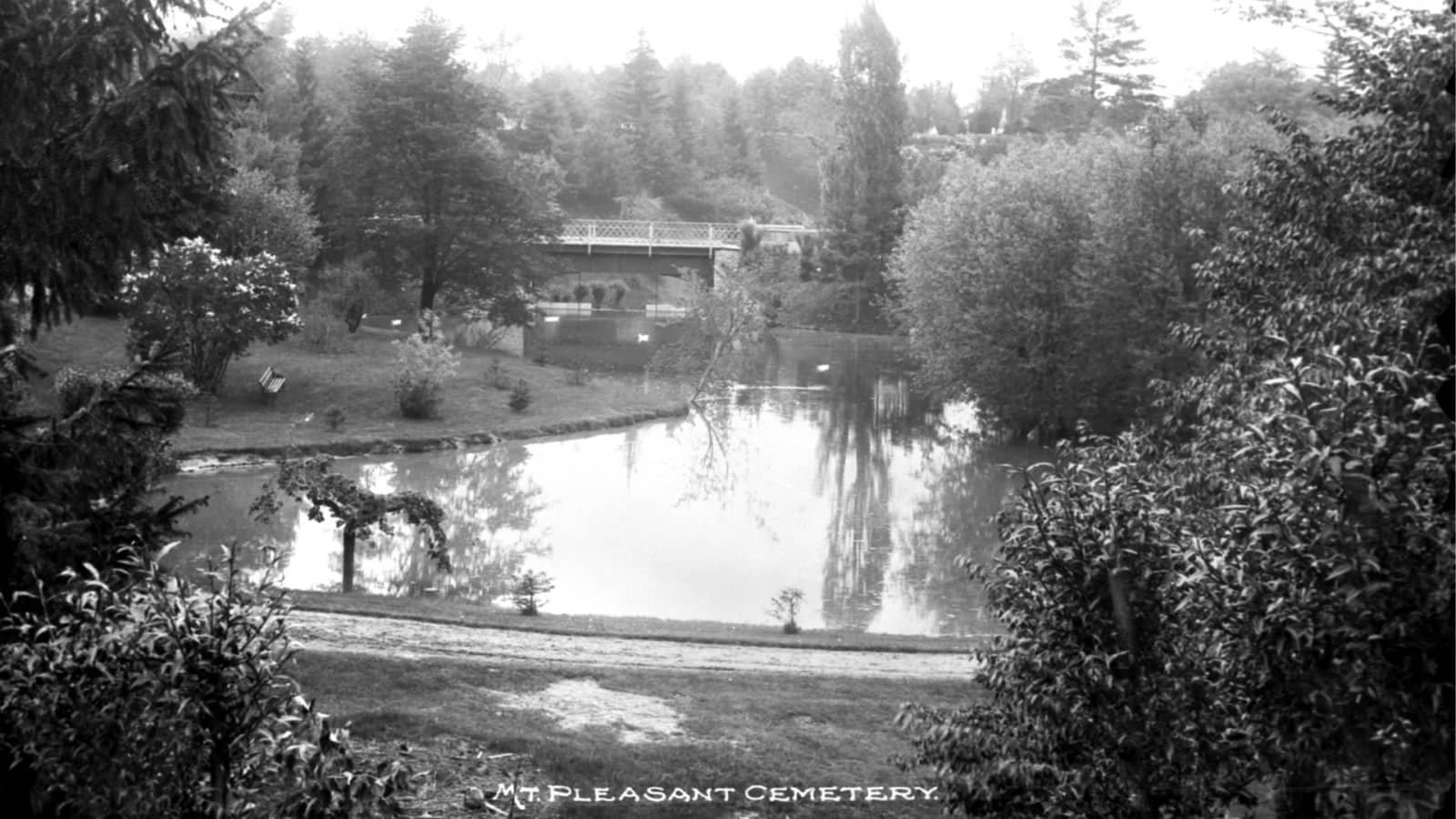 Historic Mount Pleasant Cemetery - Fall Colours