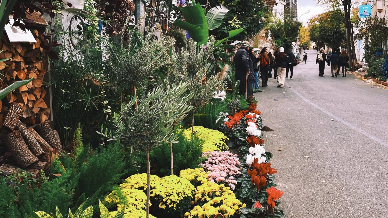 Columbia Road Flower Market