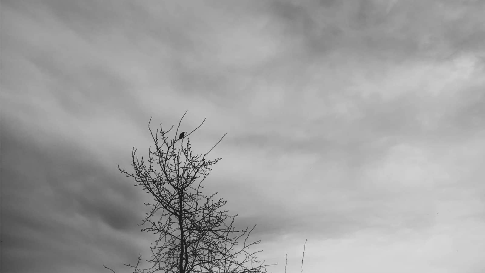 PHOTOWALK | MAGNUSON PARK