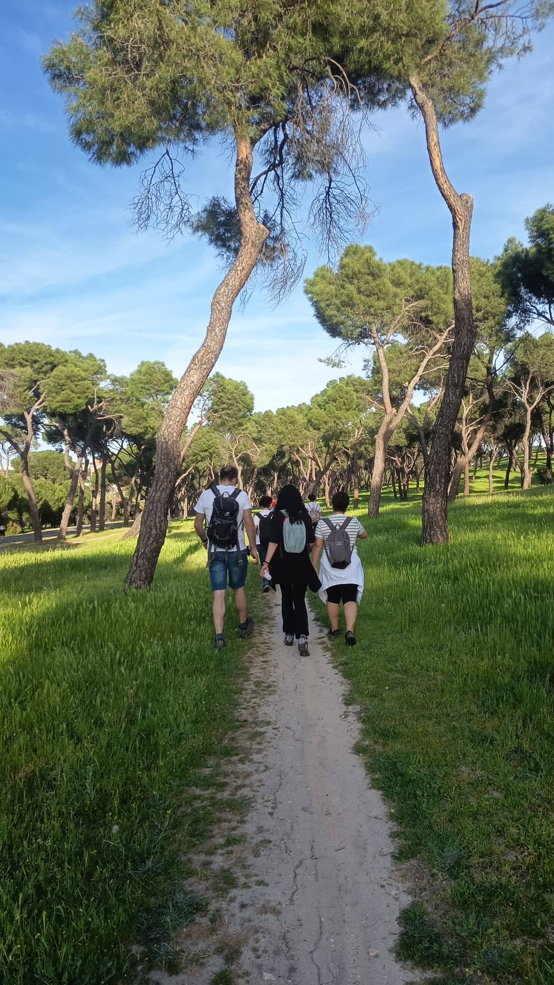 Viernes 31/07 🥾Senderismo atardecer en la Casa de Campo: Ruta+ conocer gente🌅