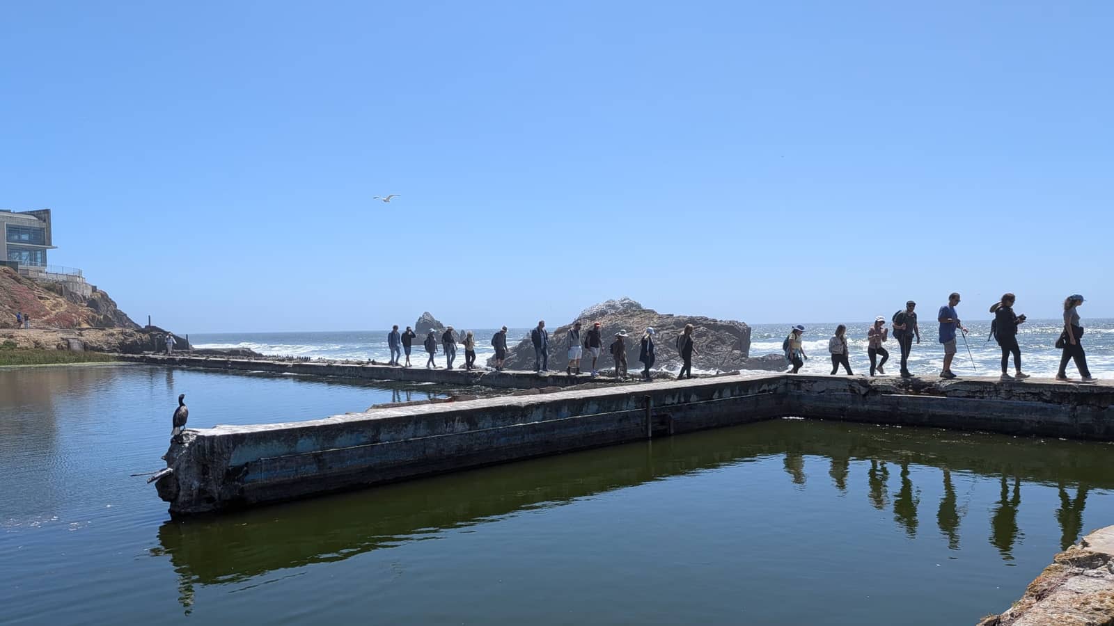 💚Green Exercise 🌊Ocean Hike 🥾Lands End San Francisco