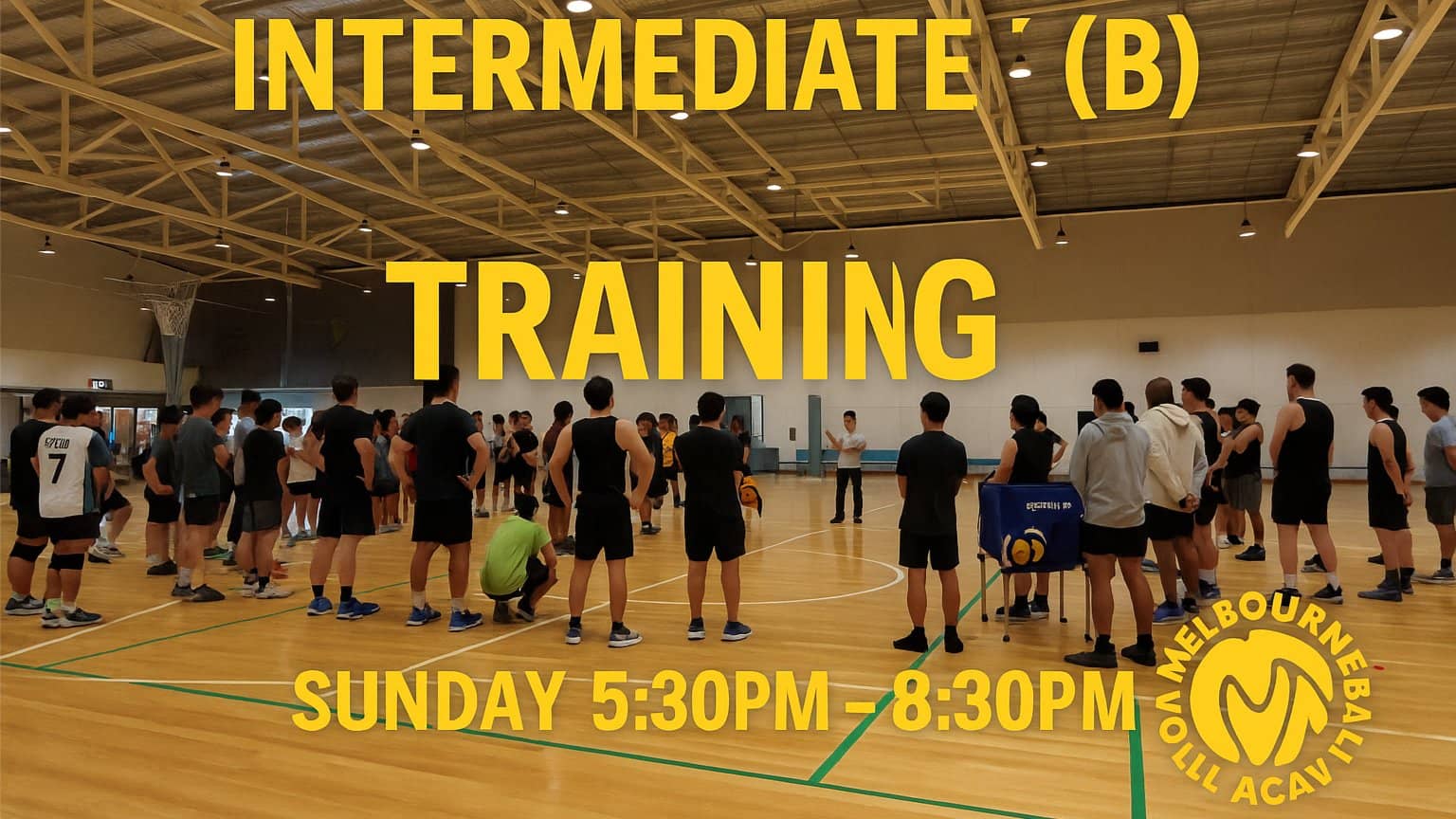Volleyball Training and Games - Intermediate - B Level (SNHC)