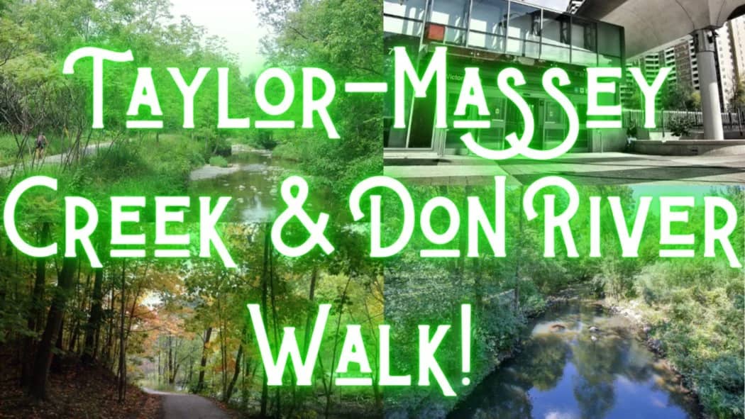 Taylor-Massey Creek & Don River Walk + Ice Cream 🌳🍦9KM