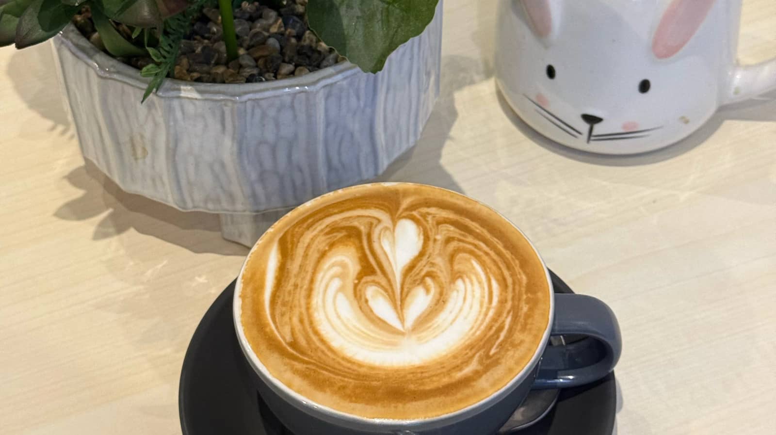 Coffee, Language Exchange & Make New Friends in Melbourne ☕🌏