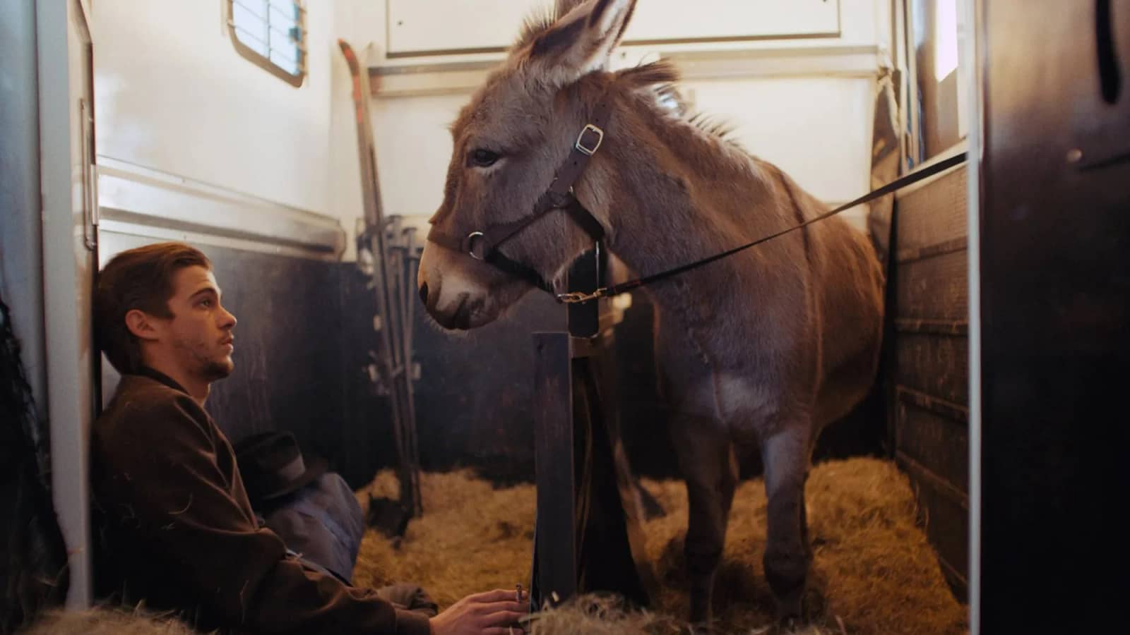 “EO” 2022 | 1h28’ [PL/IT] | THE ANIMAL AS THE OTHER Cinema Screenings