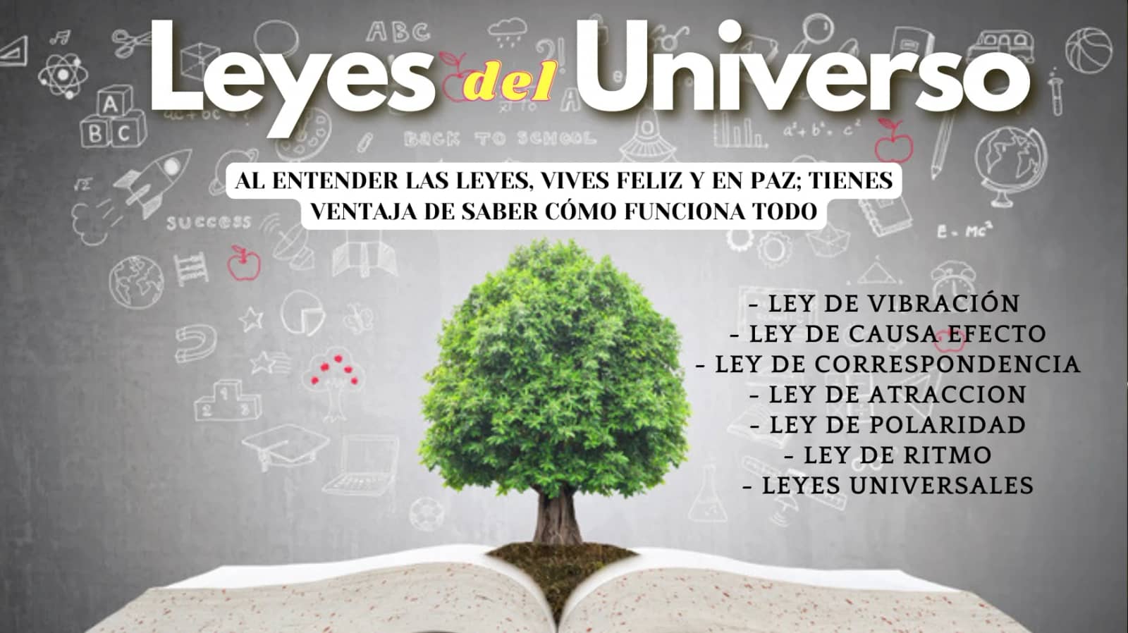Talk: “THE LAWS OF THE UNIVERSE”
