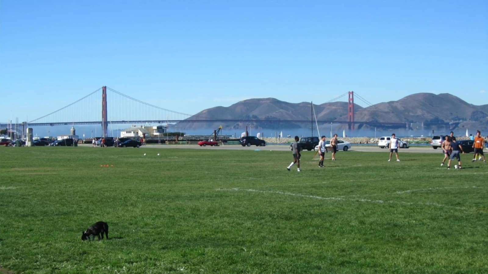 Sundays Pick-Up Soccer in Marina Green